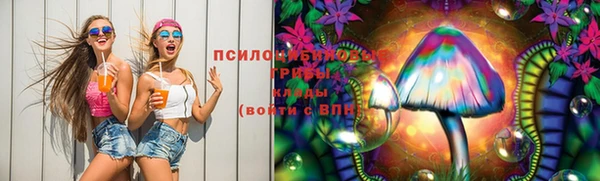 СК Аркадак