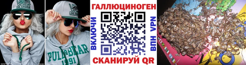 Псилоцибиновые грибы MAGIC MUSHROOMS  Гаврилов-Ям 